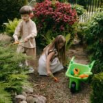 digital growth development tools