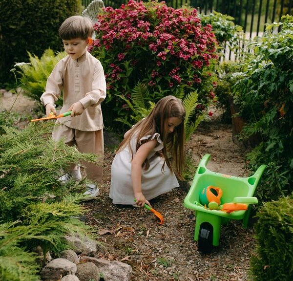 digital growth development tools