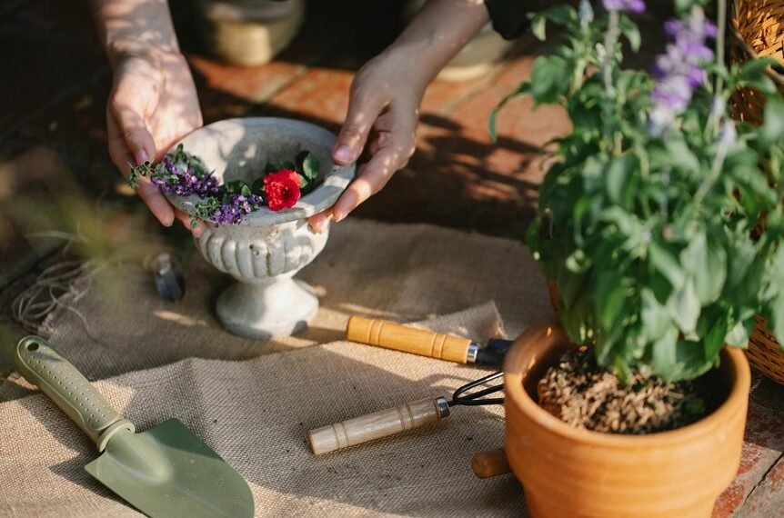 digital tools for growth