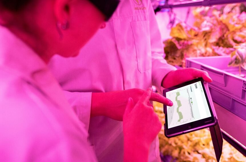 digital tools for growth
